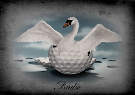 Birdieのeditorial素材