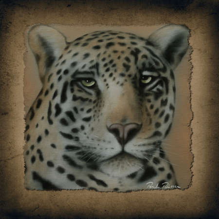 Jaguarのeditorial素材