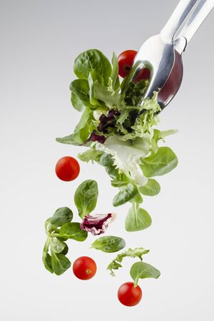 fresh salad falling from a clamp isolated on gray gradient background の写真素材
