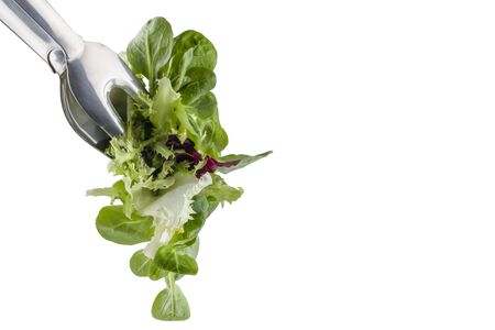 fresh salad in a clamp isolated on white background and copy spaceの写真素材