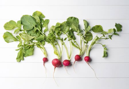 Radish in white tableの写真素材