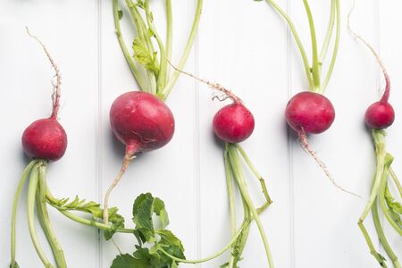 Radish in white tableの写真素材