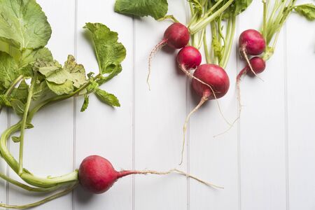 Radish in white tableの写真素材