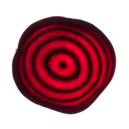 Beet sliceの写真素材