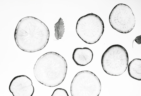Radish slicesの写真素材