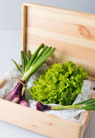 onions vegetables top viewの写真素材