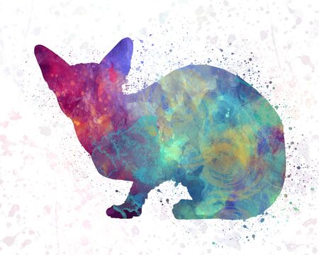 Sphinx cat  in watercolorの写真素材