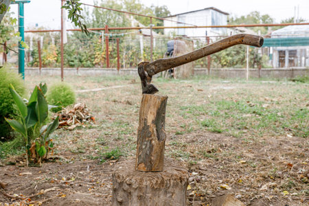 The ax is stuck in a log in the backyard on an autumn dayの写真素材
