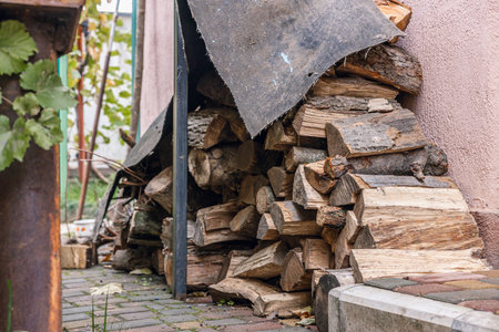 neatly stacked and covered firewood by the wall in the backyardの写真素材
