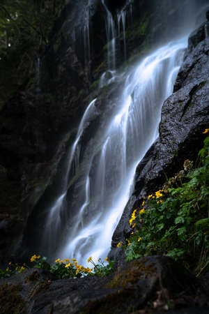 A small waterfall in an hidden place somewhere in black forrestの写真素材