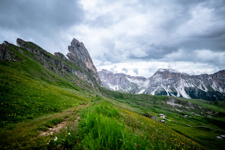 The green meadows of Seceda, South Tyrol - Italy.の写真素材