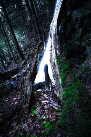Abstract picture of a small waterfall surrounded by wood.