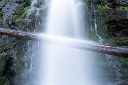 Long exposure of a tree hanging across a waterfallの写真素材