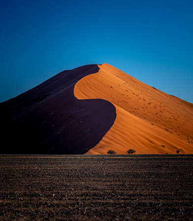 Sossusvlei, sand dunes at sunset, Namibia, Africaの写真素材