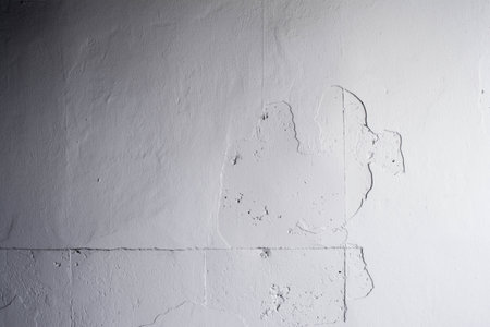The white concrete wall peel of paintedの写真素材