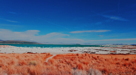 View of Mono Lakeの写真素材