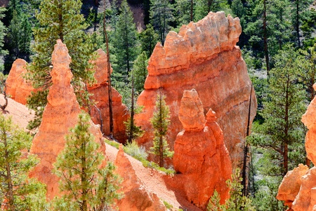 Rock formations called hoodoos, Bryce Canyon NP, Utah, USA Rock formations called hoodoos, Bryce Canyon NP, Utah, USA