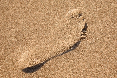 Footprint in wet sand on a beachの写真素材