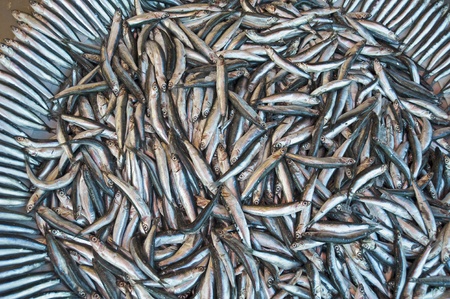 Fresh fish on display at a fish marketの写真素材