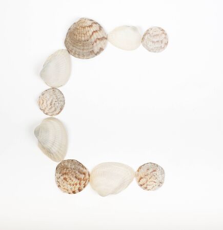 Alphabet letter C text made from sea shells isolated on a white backgroundの写真素材