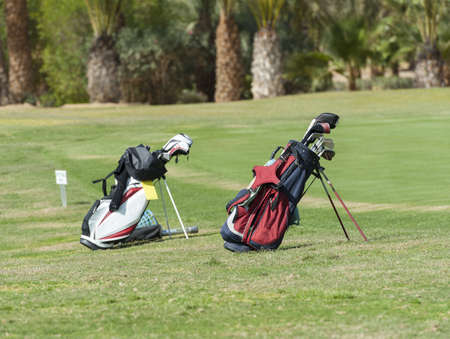 Two golf bags with clubs standing on a course fairwayの写真素材