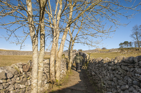 People rambling walking on footpath between dry stone walls in the english countryside rural landscapeの写真素材