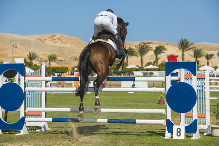 SAHL HASHEESH, EGYPT - OCTOBER 29TH 2016:  Arab Championship Showjumping World Cup Qualifiers on October 29th 2016 in Sahl Hasheesh, Egypt. Riders and horses in action during the main Grand Prix event.のeditorial素材