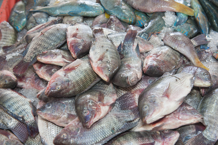 Collection of various fish on ice display at traditional open air marketの写真素材