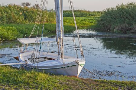 Traditional Egyptian felluca river sailing boat moored up by the river bank