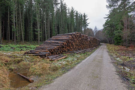 Track through a remote woodland forest in rural countryside landscape in winter with large pile of...