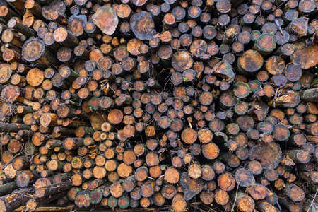 Abstract wallpaper background showing random pile of felled logs timber wood stacked up