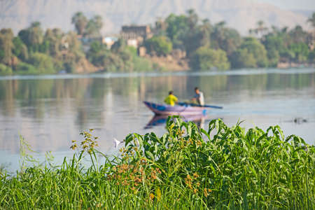 Traditional egyptian bedouin fisherman in rowing boat on river Nile fishing by riverbankの写真素材