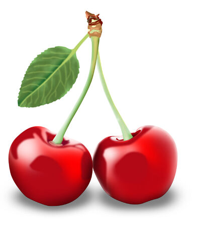 Kersenのイラスト素材