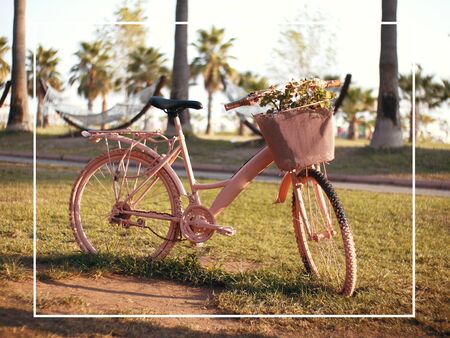 Beautiful postcard with pink bike and flowers. Ready-made holiday card for designers. Flowers in a Bicycle basketの写真素材