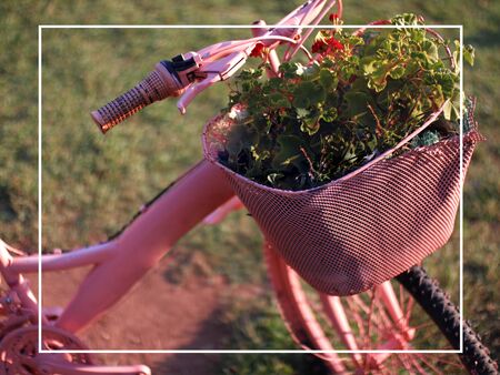 Beautiful postcard with pink bike and flowers. Ready-made holiday card for designers.の写真素材
