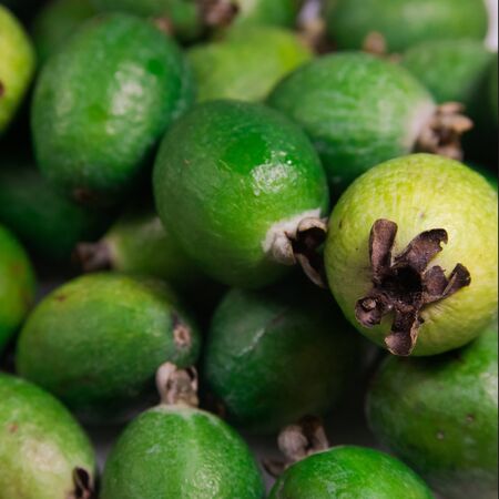 Green ripe feijoa fruit on the table. On top is a pile of fresh ripe feijoa fruit sold in the market.の写真素材