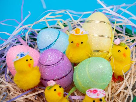 Easter Chicks and Eggs in Nest.concept of the Easter holiday and greeting cards. decorative chickens with Easter eggsの写真素材