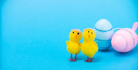 Easter Chicks and Eggs in Nest.concept of the Easter holiday and greeting cards. decorative chickens with Easter eggsの写真素材