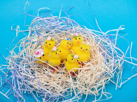 Easter Chicks and Eggs in Nest.concept of the Easter holiday and greeting cards. decorative chickens with Easter eggsの写真素材