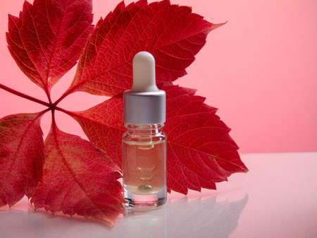 Amber glass bottles with tropical leaf on pink background. Natural organic cosmetic packaging,...