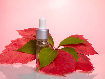 Amber glass bottles with tropical red and green leafs on pink background. Natural organic cosmetic packaging, luxury beauty products for bodyの写真素材