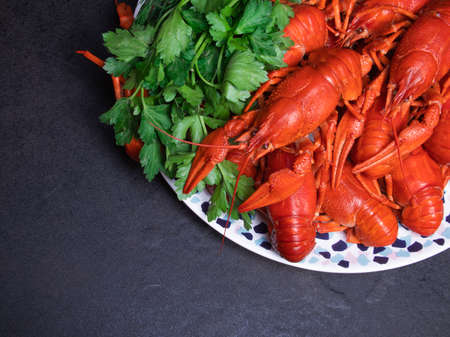 Crayfish party, restaurant, cafe, pub menu.の写真素材