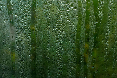 Window condensation detail with green natural backgroundの写真素材