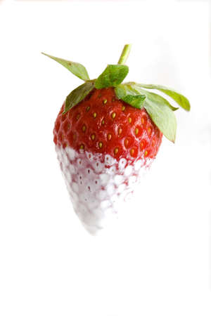 A single strawberry half dipped in cream with leavesの写真素材