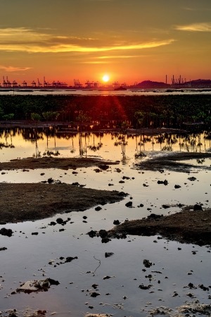 Sunset on the wetland in Hong Kongの写真素材