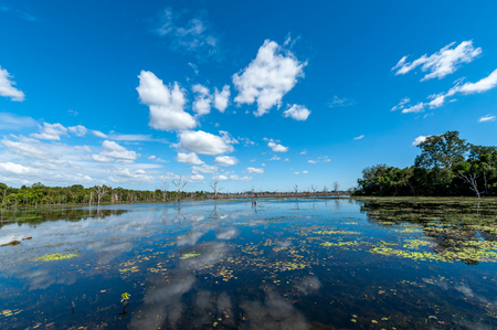 Large lake Baray in Angkorの写真素材