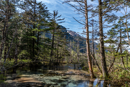Kamikochi in Japan with clear skyの写真素材