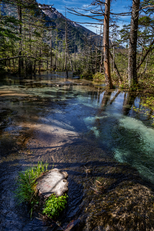 Little stream in Kamikochi, Japanの写真素材