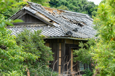 Japanese style house cover with leavesのeditorial素材