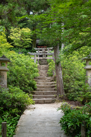 Forest at the Mount Misen, Miyajima island, Japan. Mount Misen is the sacred mountain on Itsukushima in Hatsukaichi, Hiroshima, Japan, and is the highest mountain on the island at 535 mのeditorial素材